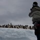 Antarctica (5)